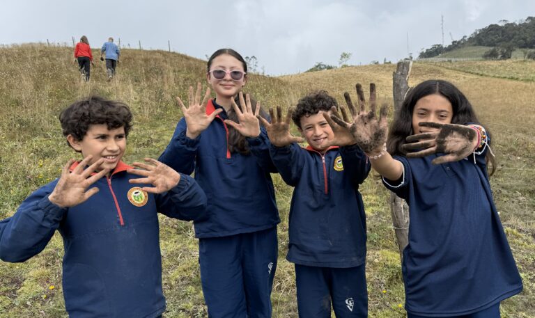 Message from the tree